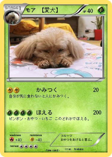 Pokemon モア 【愛犬】