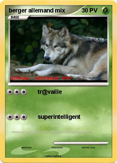 Pokemon berger allemand mix
