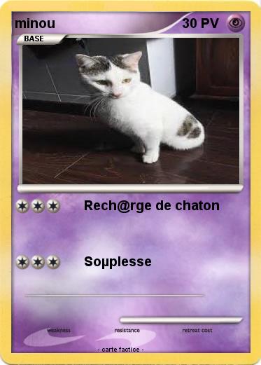 Pokemon minou