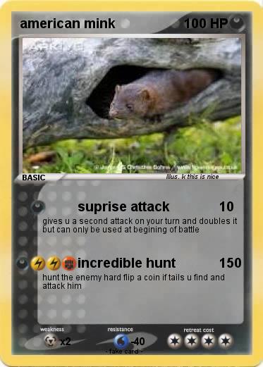 Pokemon american mink