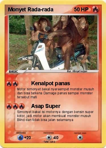Pokemon Monyet Rada-rada
