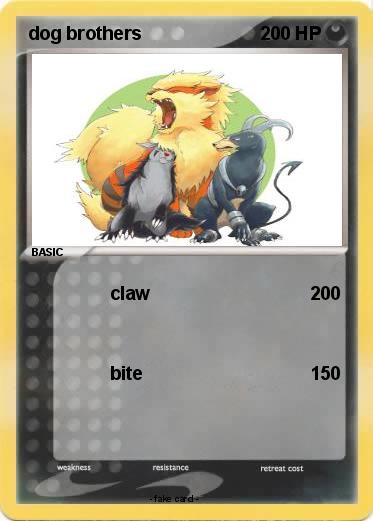 Pokemon dog brothers