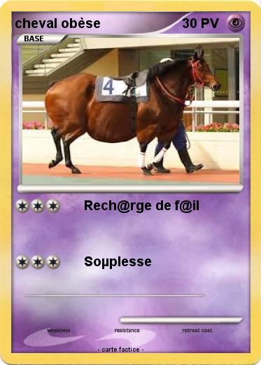 Pokemon cheval obèse