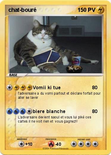 Pokemon chat-bouré