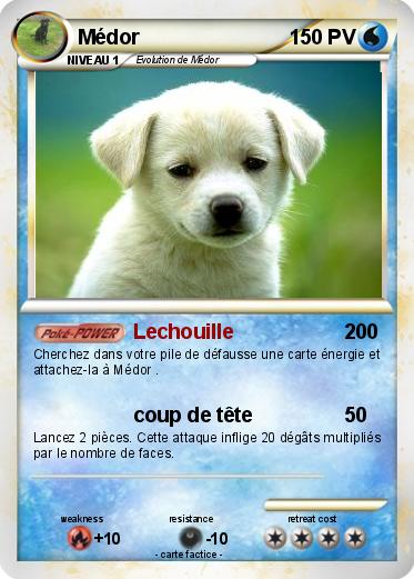Pokemon Médor