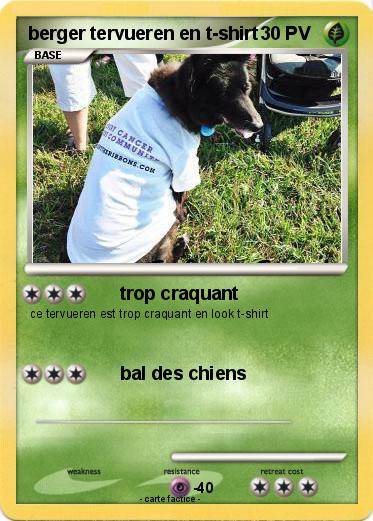 Pokemon berger tervueren en t-shirt