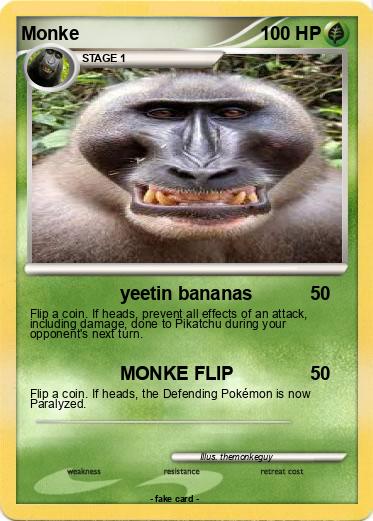 Pokemon Monke