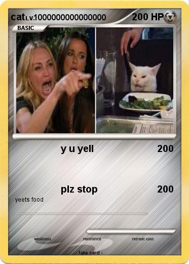 Pokemon cat