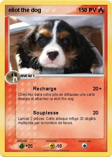 Pokemon eliot the dog