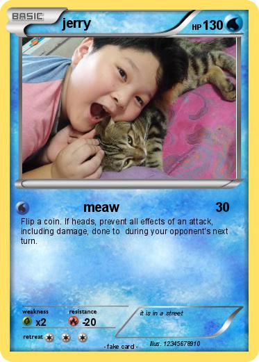 Pokemon jerry