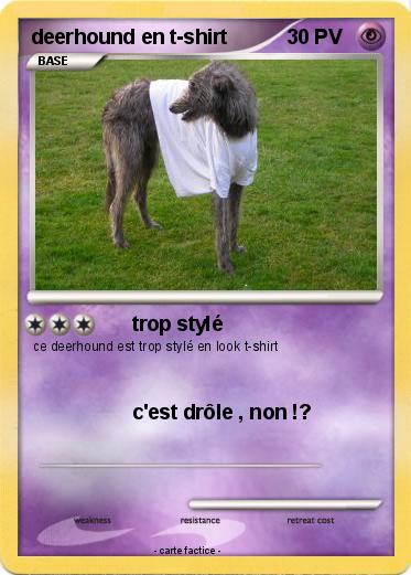 Pokemon deerhound en t-shirt
