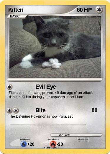 Pokemon Kitten