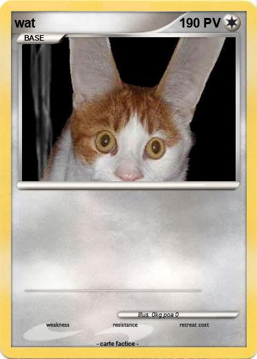 Pokemon wat