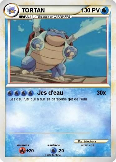 Pokemon TORTAN