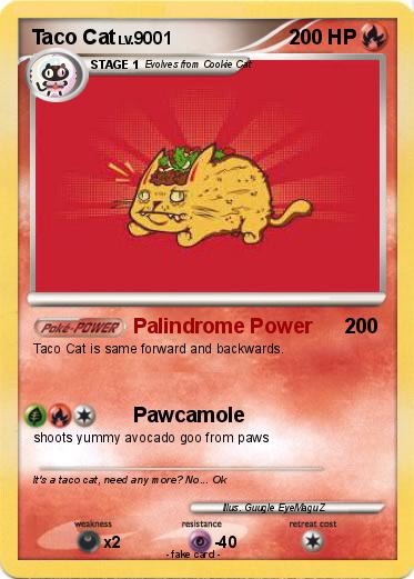 Pokemon Taco Cat