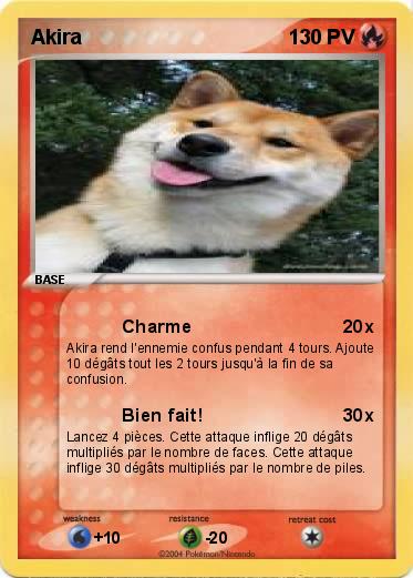 Pokemon Akira