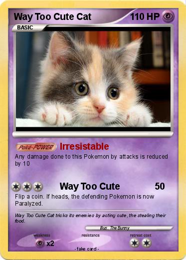 Pokemon Way Too Cute Cat