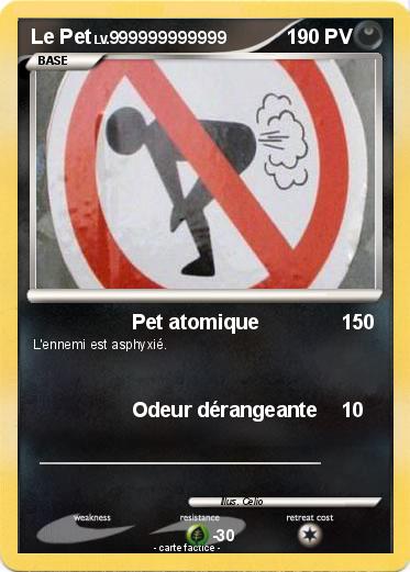 Pokemon Le Pet