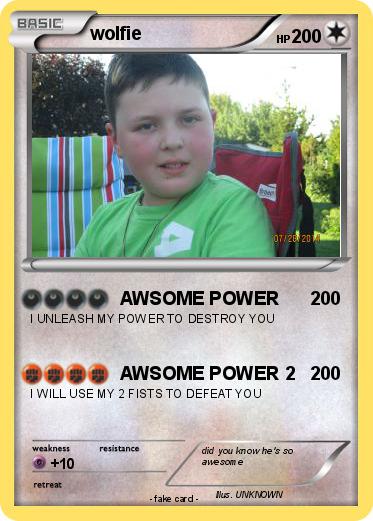 Pokemon wolfie