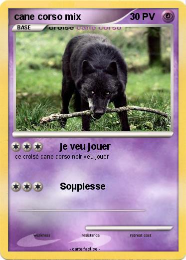 Pokemon cane corso mix