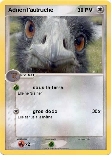 Pokemon Adrien l'autruche