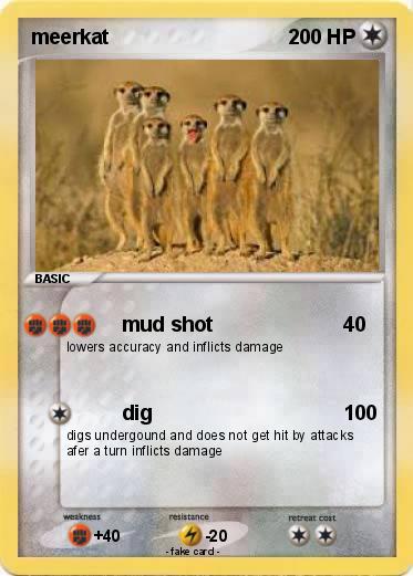 Pokemon meerkat