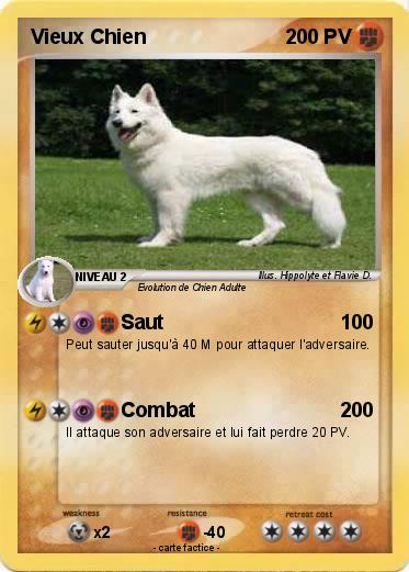 Pokemon Vieux Chien