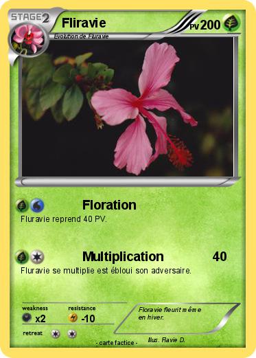 Pokemon Fliravie