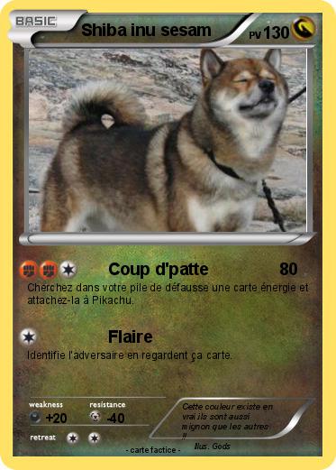 Pokemon Shiba inu sesam