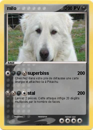 Pokemon milo