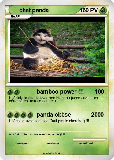Pokemon chat panda