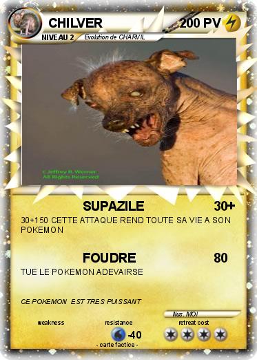 Pokemon CHILVER