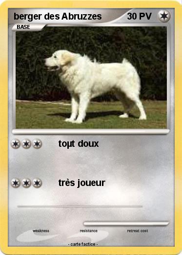 Pokemon berger des Abruzzes