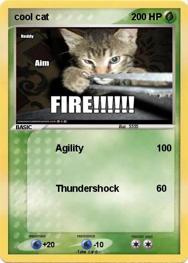 Pokemon cool cat