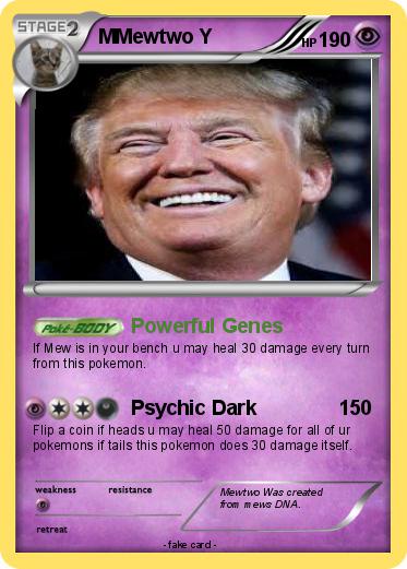 Pokemon MMewtwo Y