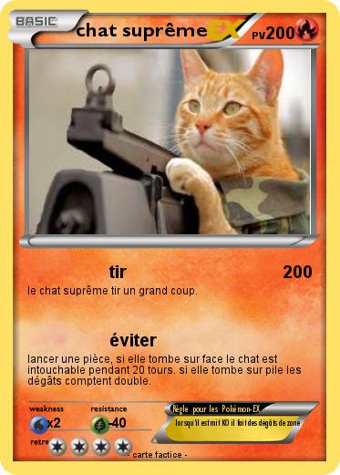 Pokemon chat suprême