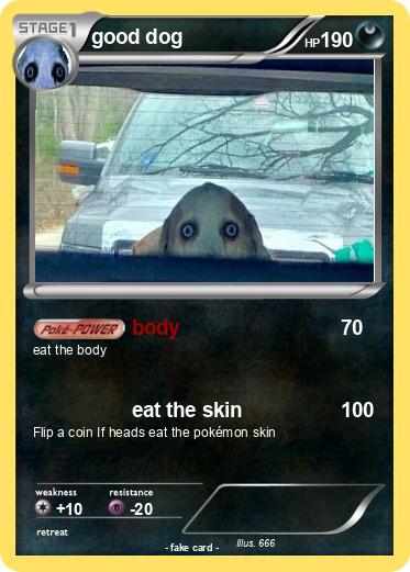 Pokemon good dog