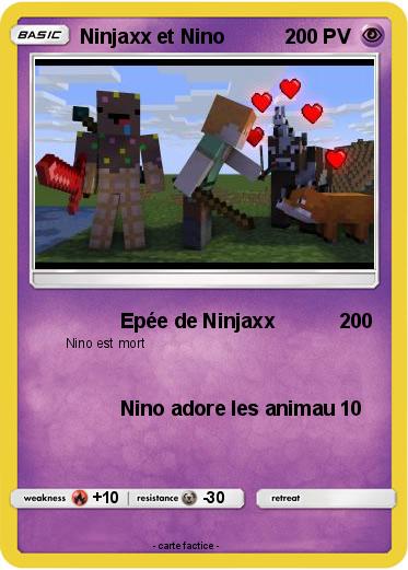 Pokemon Ninjaxx et Nino