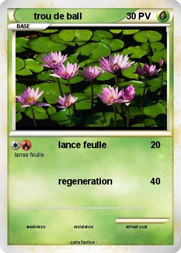 Pokemon trou de ball