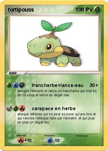 Pokemon tortipouss