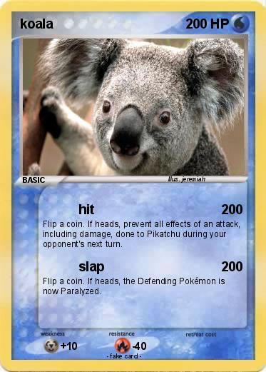 Pokemon koala