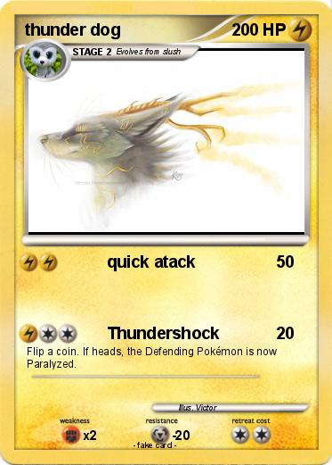 Pokemon thunder dog