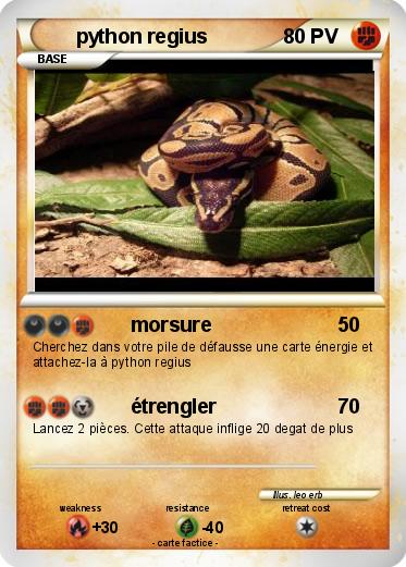 Pokemon python regius