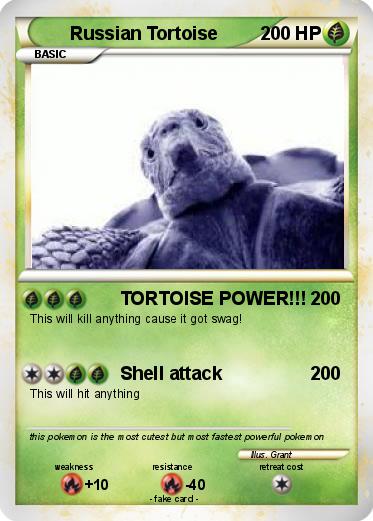 Pokemon Russian Tortoise