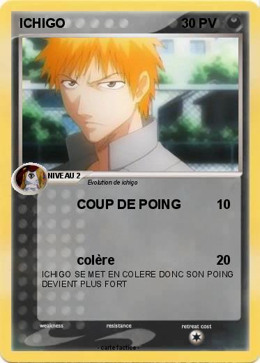 Pokemon ICHIGO