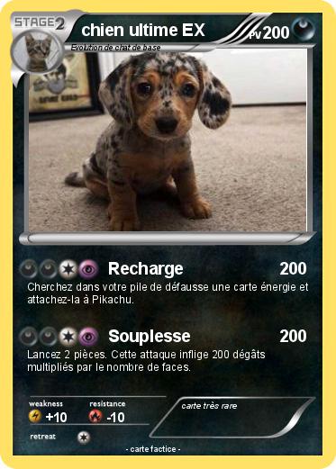 Pokemon chien ultime EX