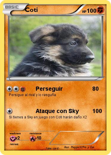 Pokemon Coti