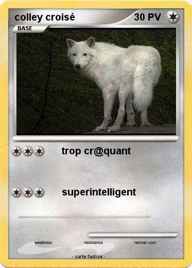 Pokemon colley croisé