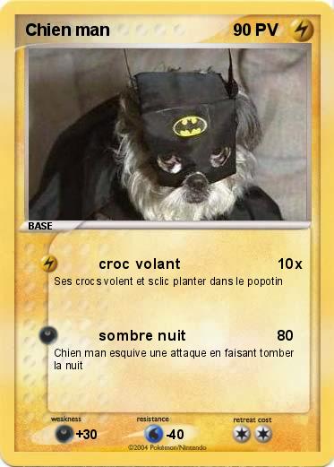 Pokemon Chien man