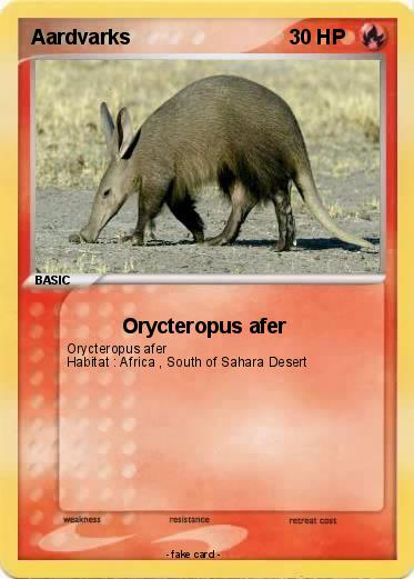Pokemon Aardvarks